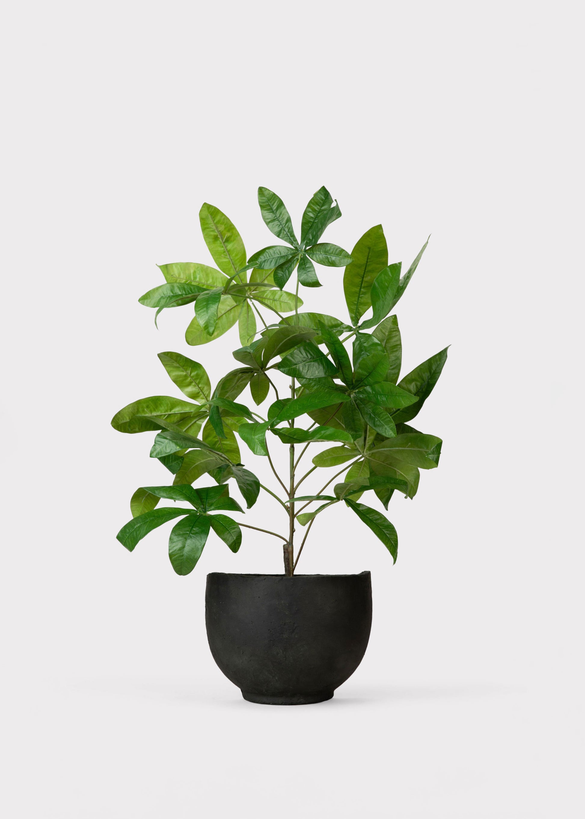Artificial Potted Money Tree Plant