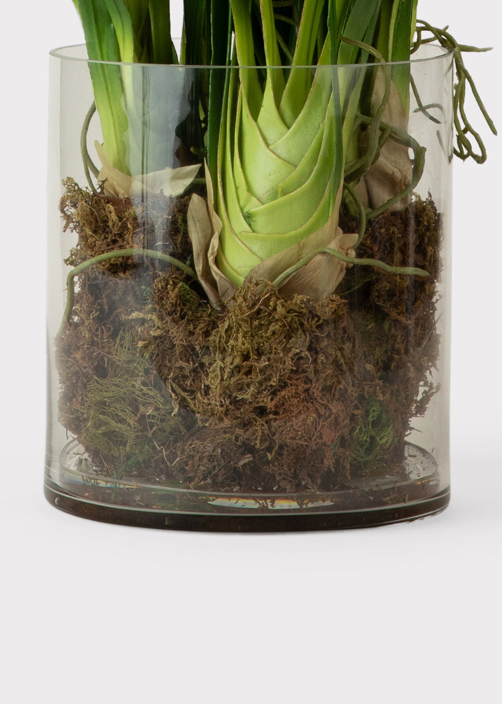 Faux Orchids in Glass Vase