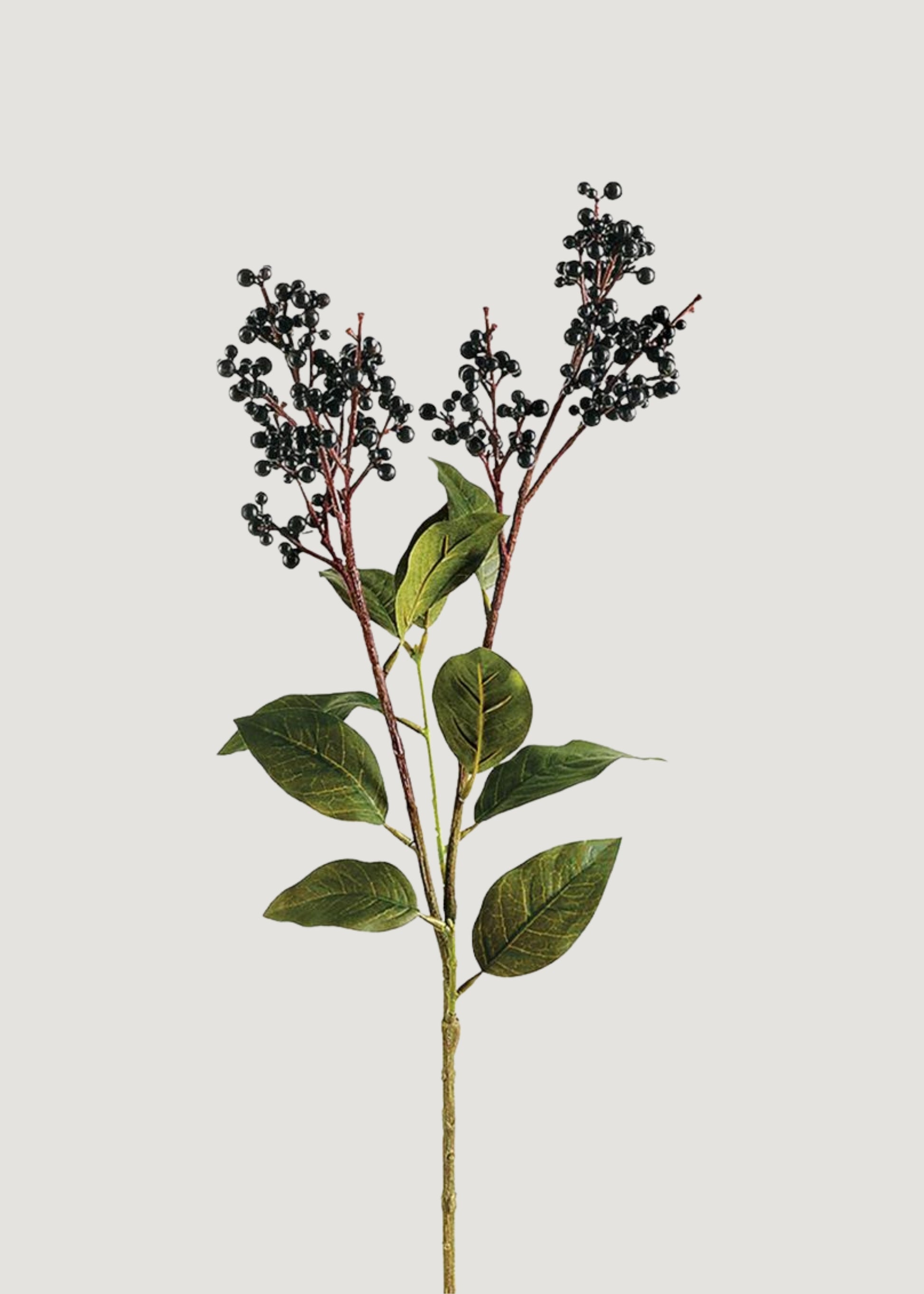 Fake Berries Lacoste Berry Branch in Black 