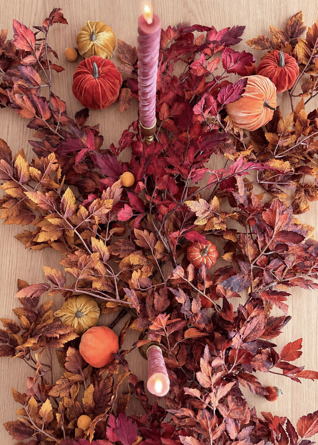 cimicifuga table runner with velvet pumpkins and twisted taper candles