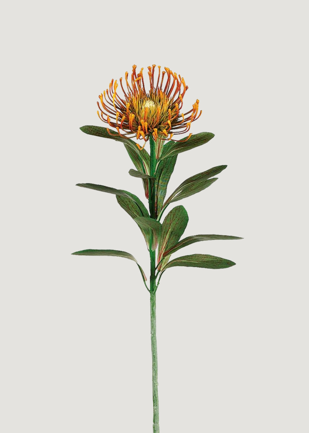 Rust Orange Artificial Pincushion Protea 
