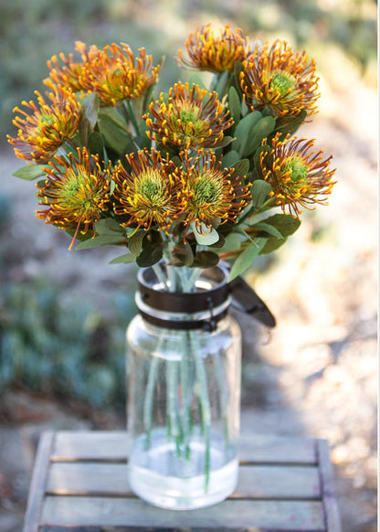 Artificial Pincushion Proteas Arranged in a Vase