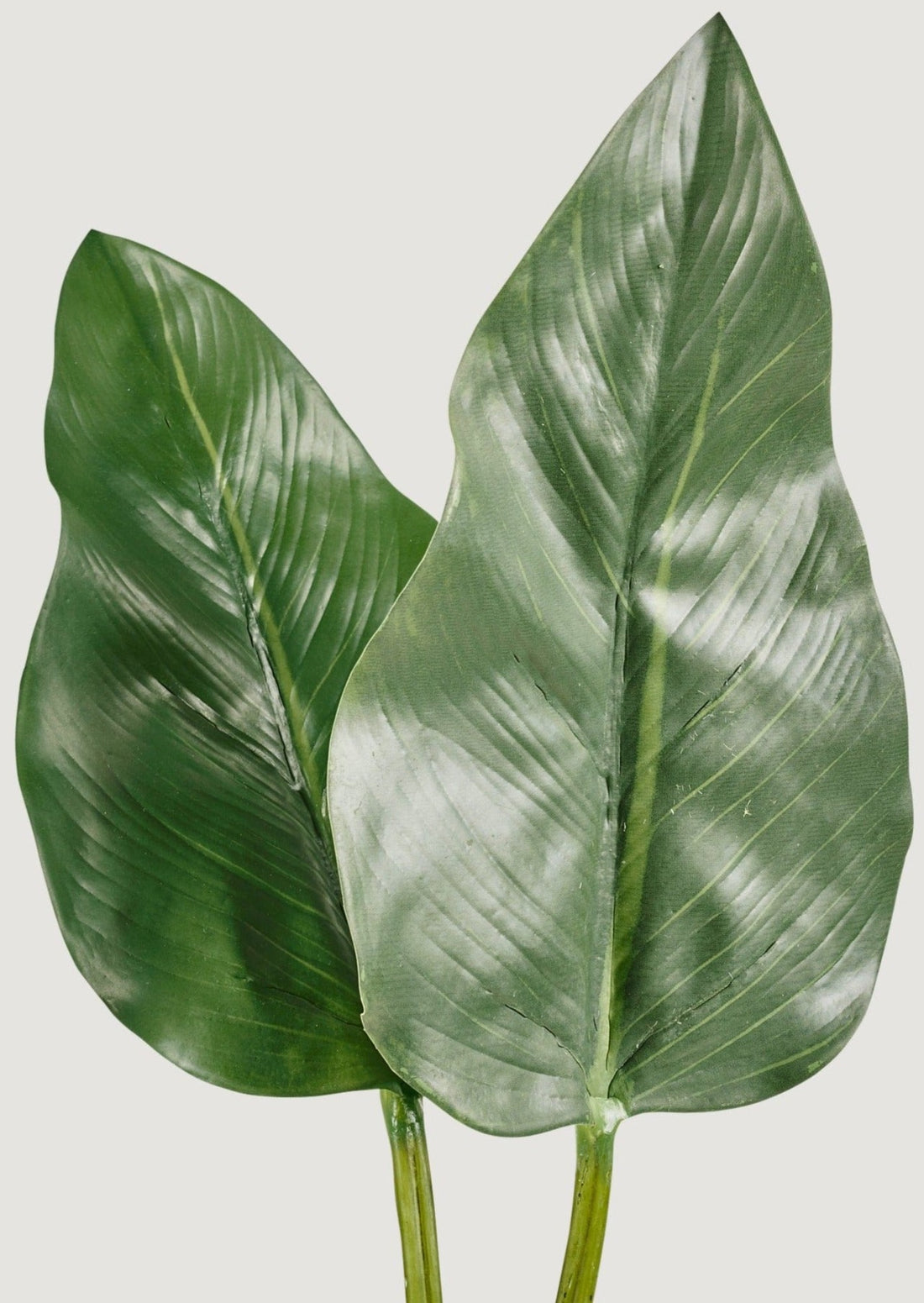 Large Green Artificial Calla Lily Leaves at Afloral