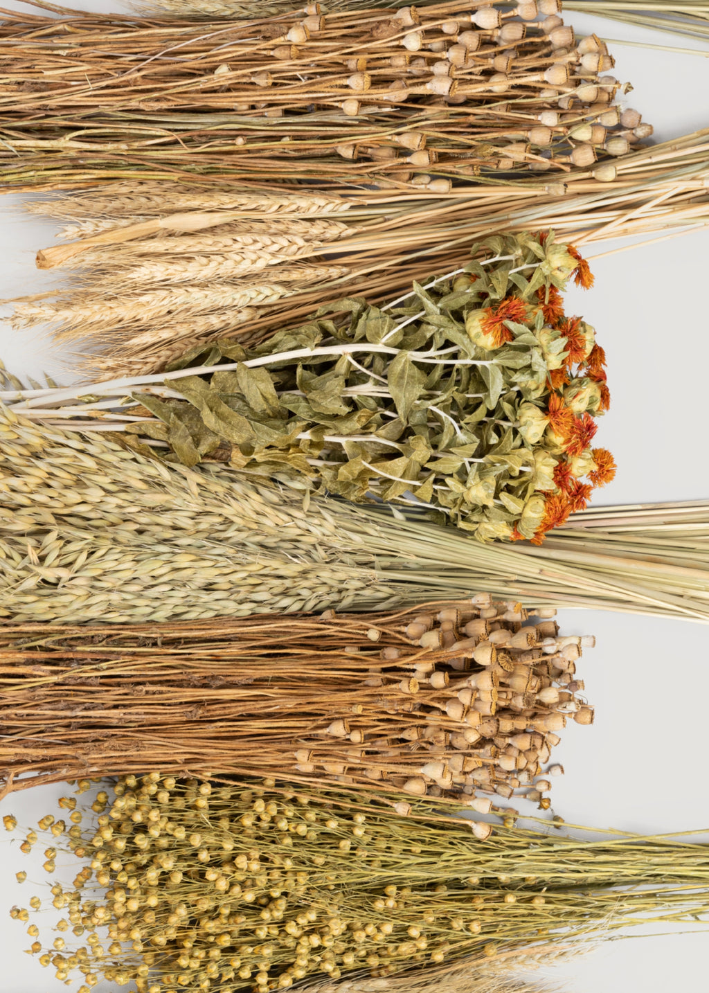 Close-up of Assorted Bundles of Dried Grasses and Flowers