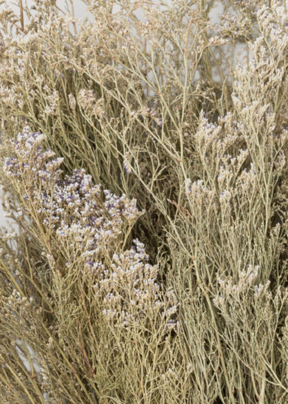 Close-up of Natural Caspia Flowers 
