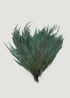 Preserved Cedar Greenery Bundle
