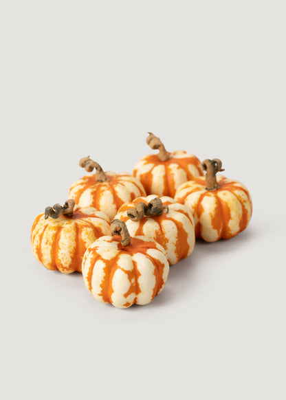 Set of 6 Natural Dried Mini Pumpkins