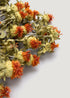 Close up of Dried Orange Safflower