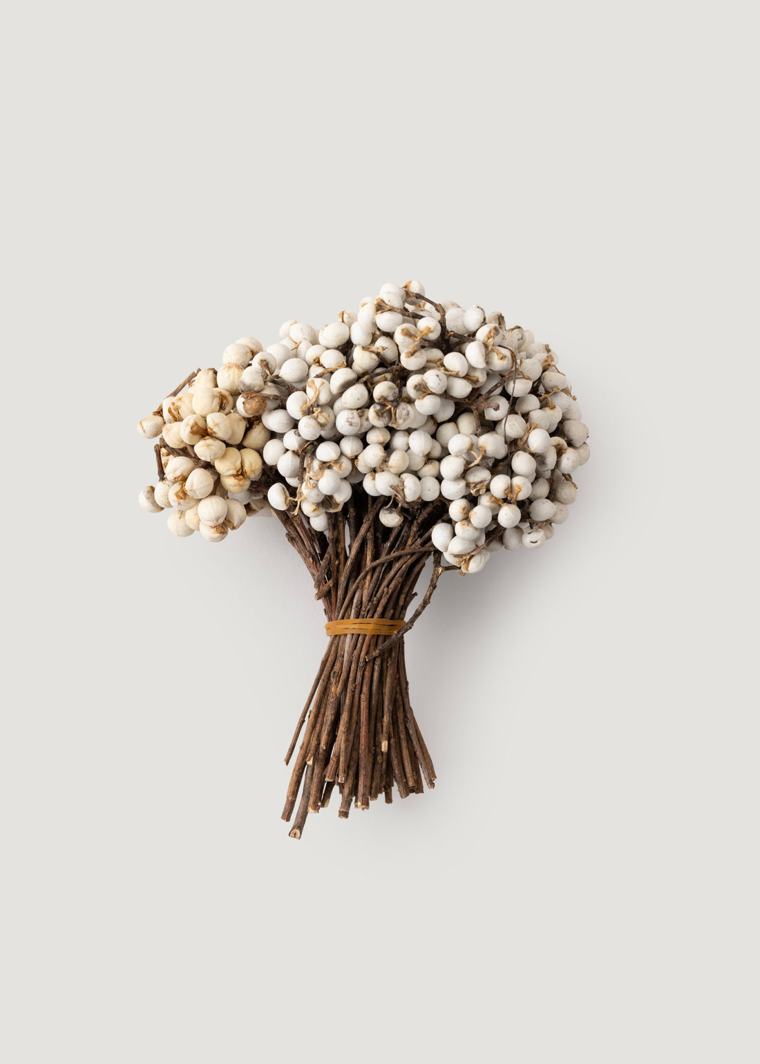 Dried White Tallow Berries