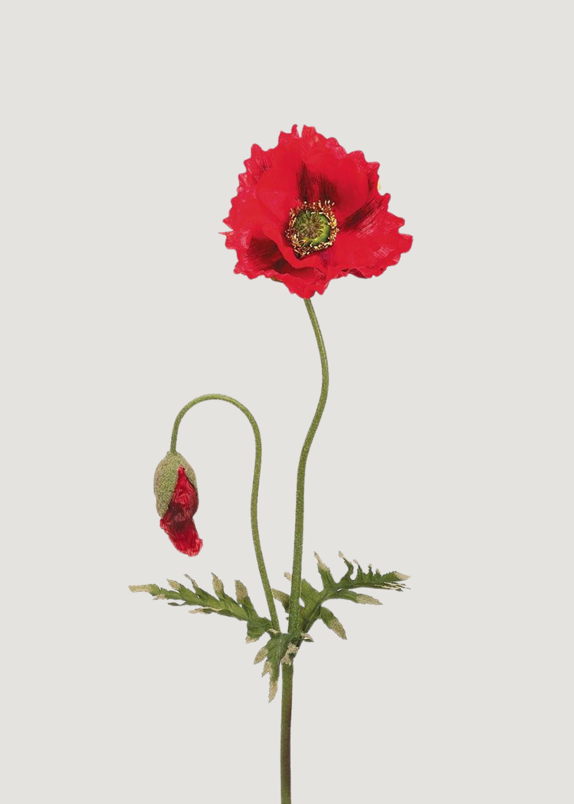 Red Fake Poppy