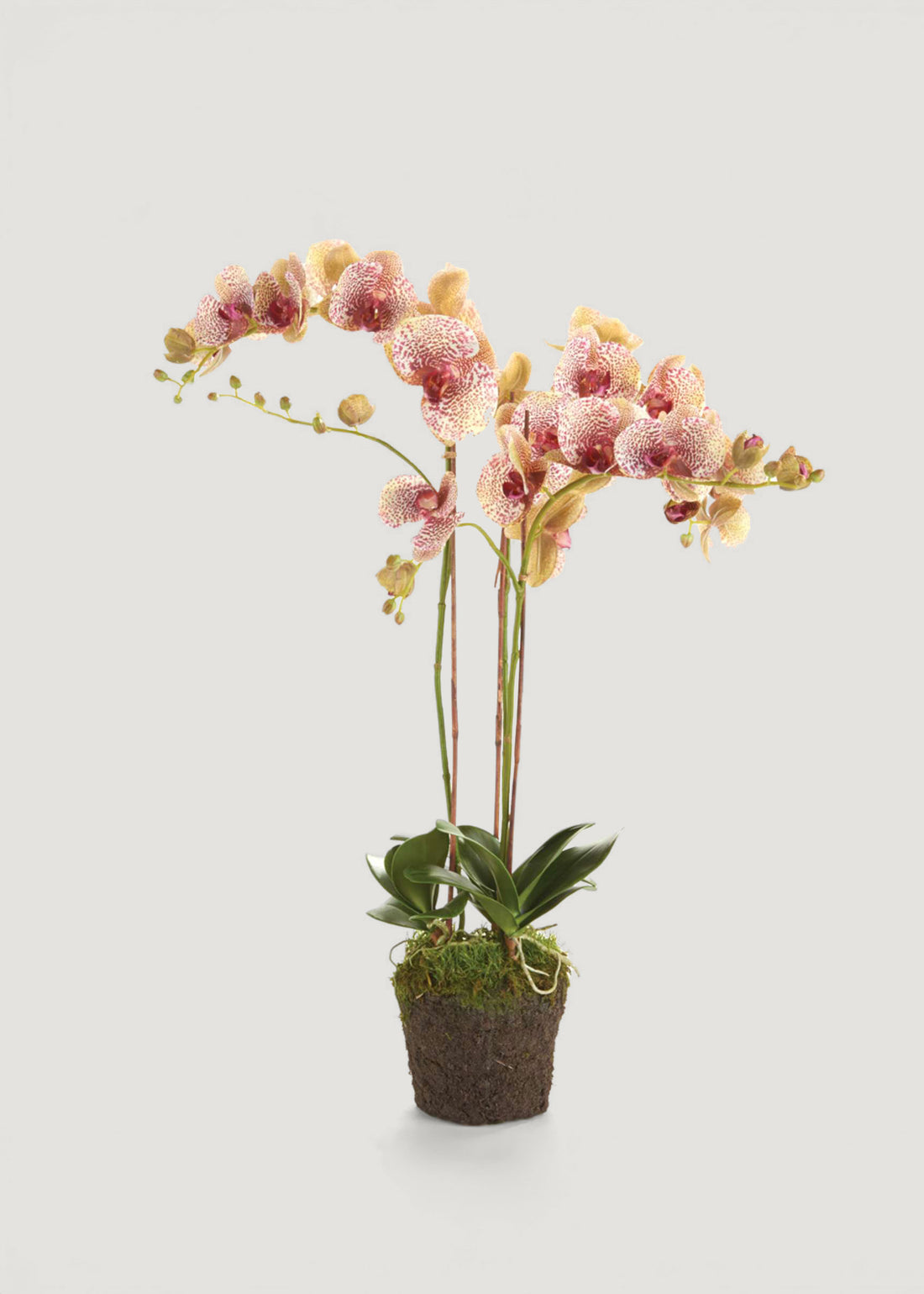 Artificial Phalaenopsis Orchid Drop-In Plant in Pink