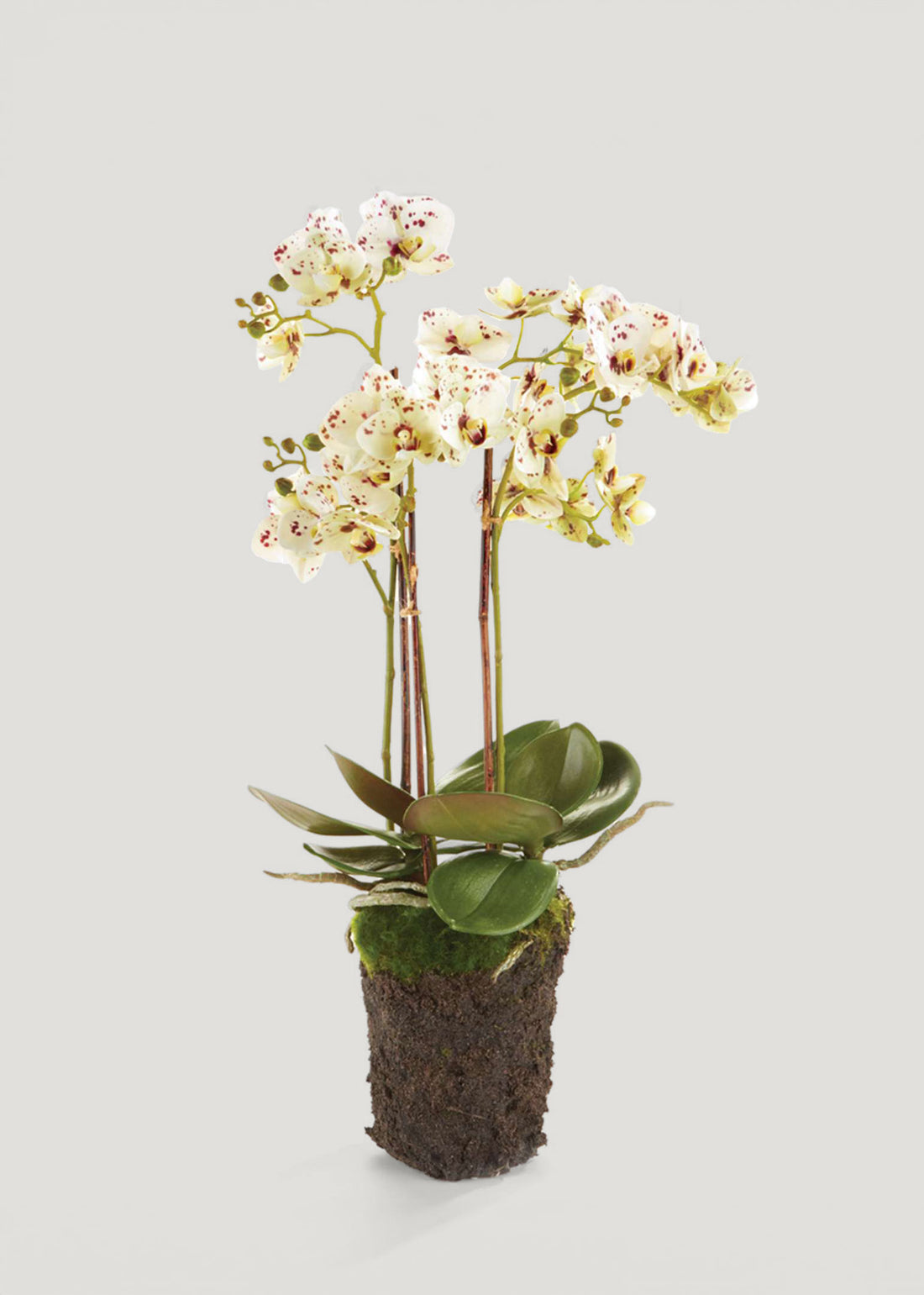 Speckled White Fake Blooming Orchid Drop-In Plant