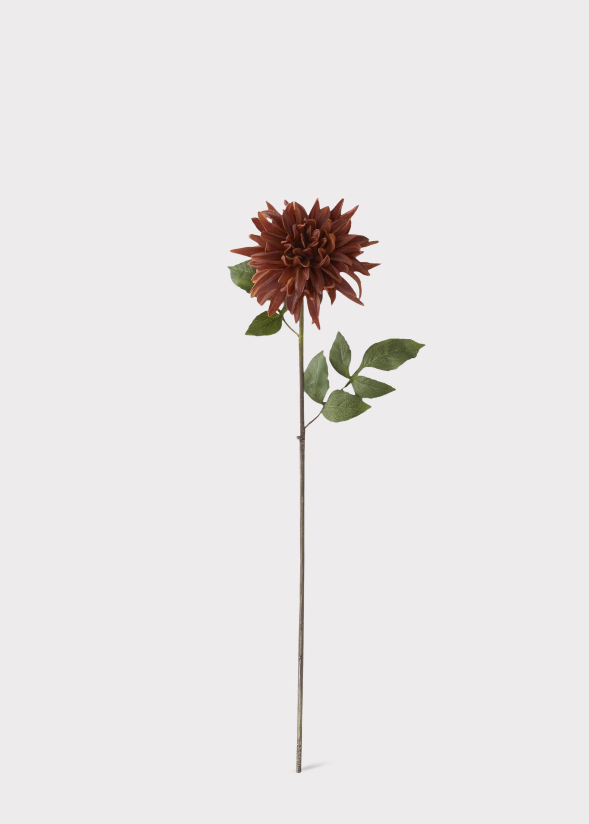 Real Touch Dahlia in Earthy Brown