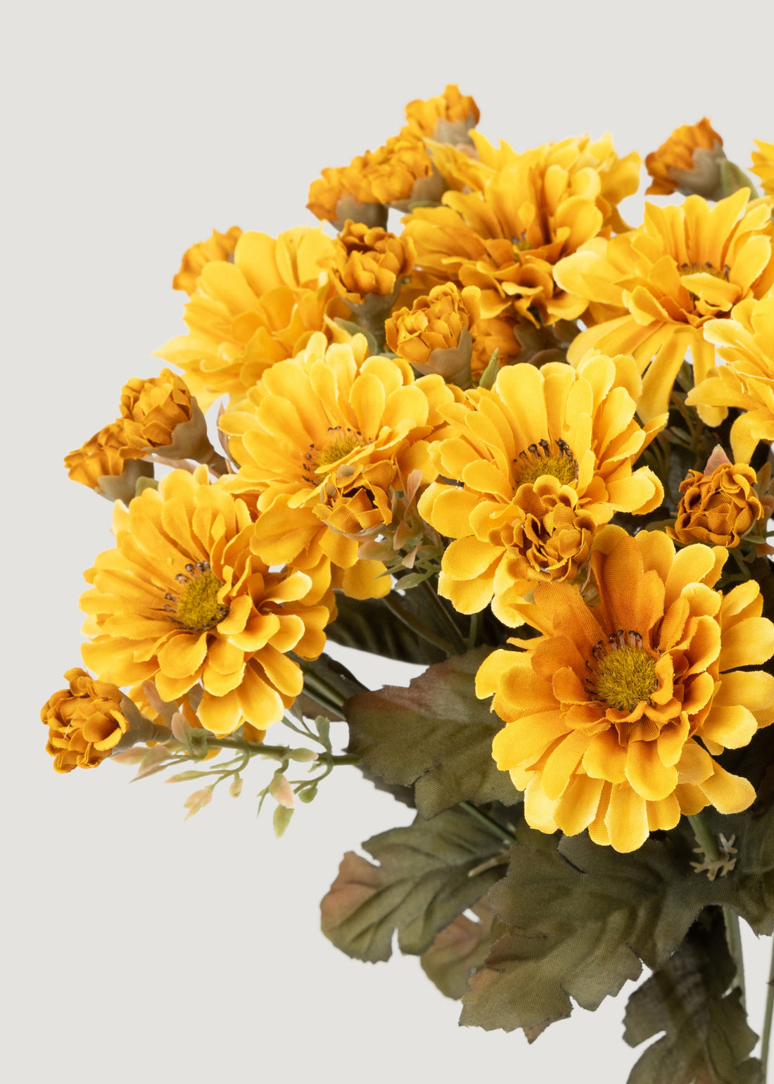 Close-up of Faux Mum bush
