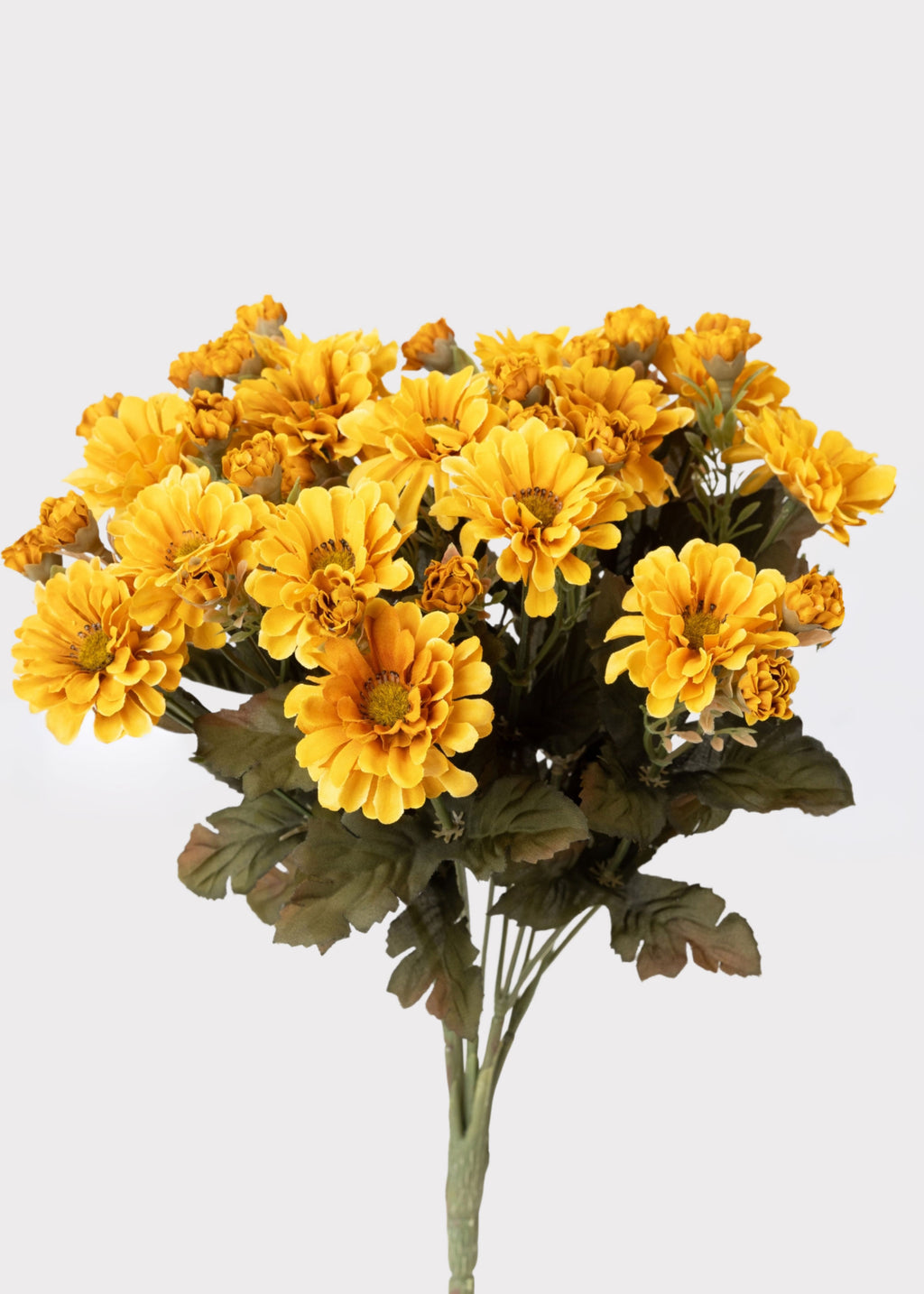 Yellow  Mum Flower Bush 