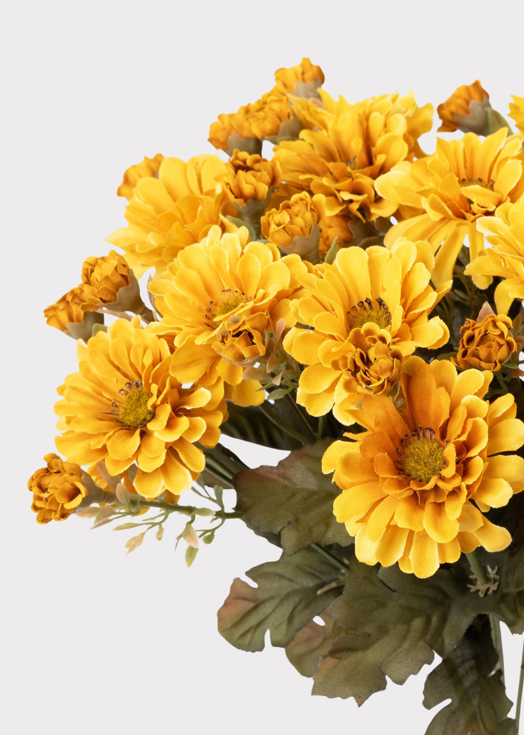 Close-up of Faux Mum bush