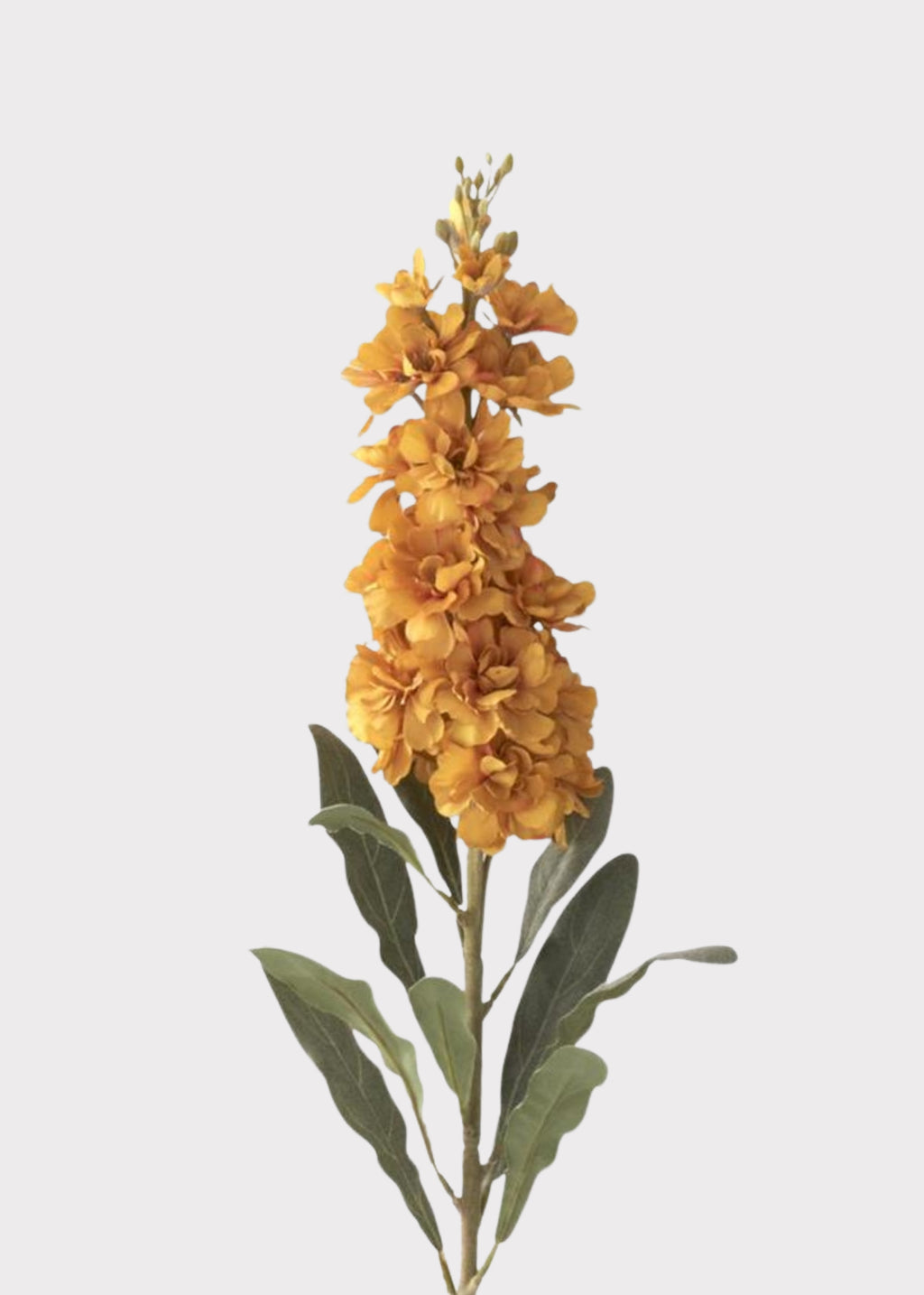 Close-up of Artificial Stock Flower in Golden Yellow