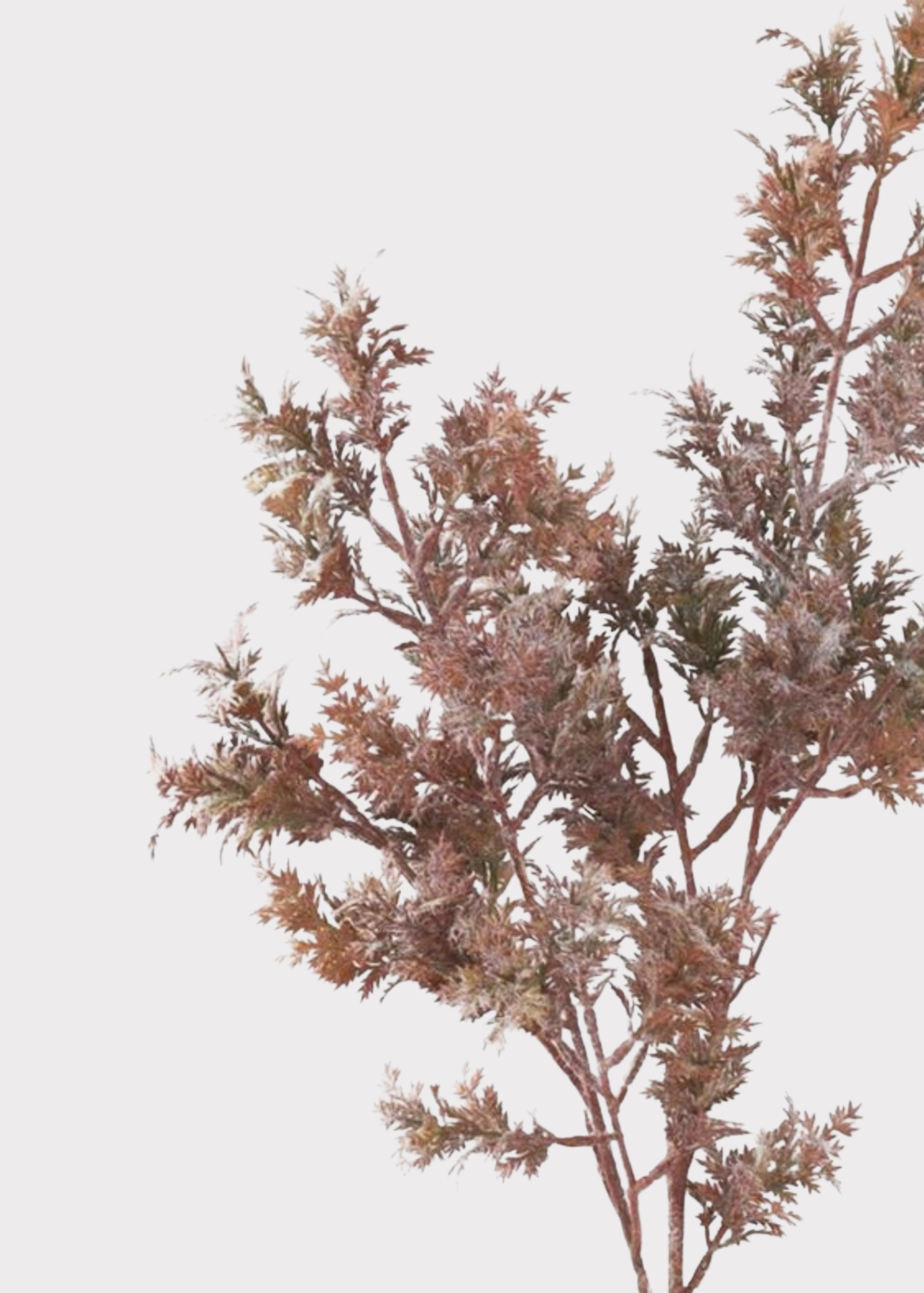 Close-up of Artificial Cypress Branch