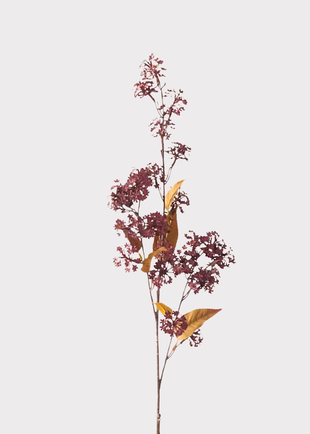 Artificial Elderberry Flower Branch 