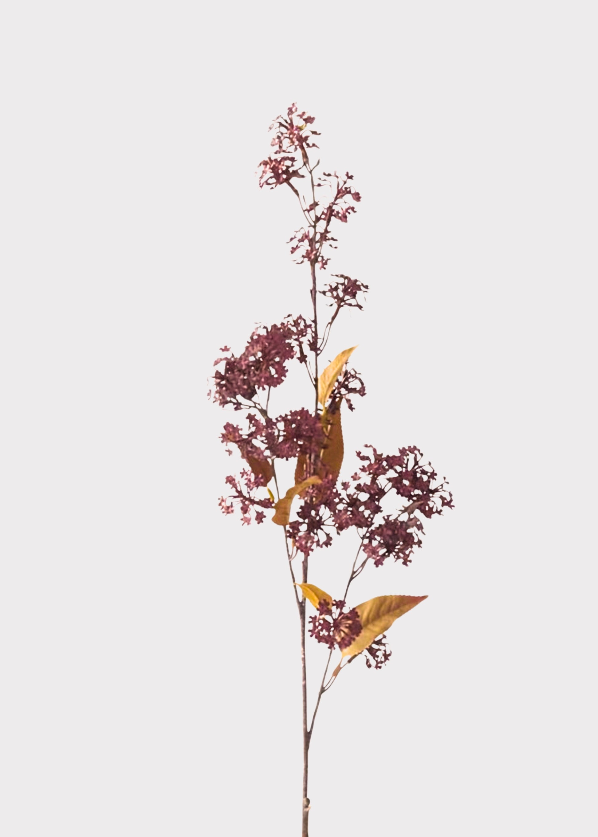 Artificial Elderberry Flower Branch 