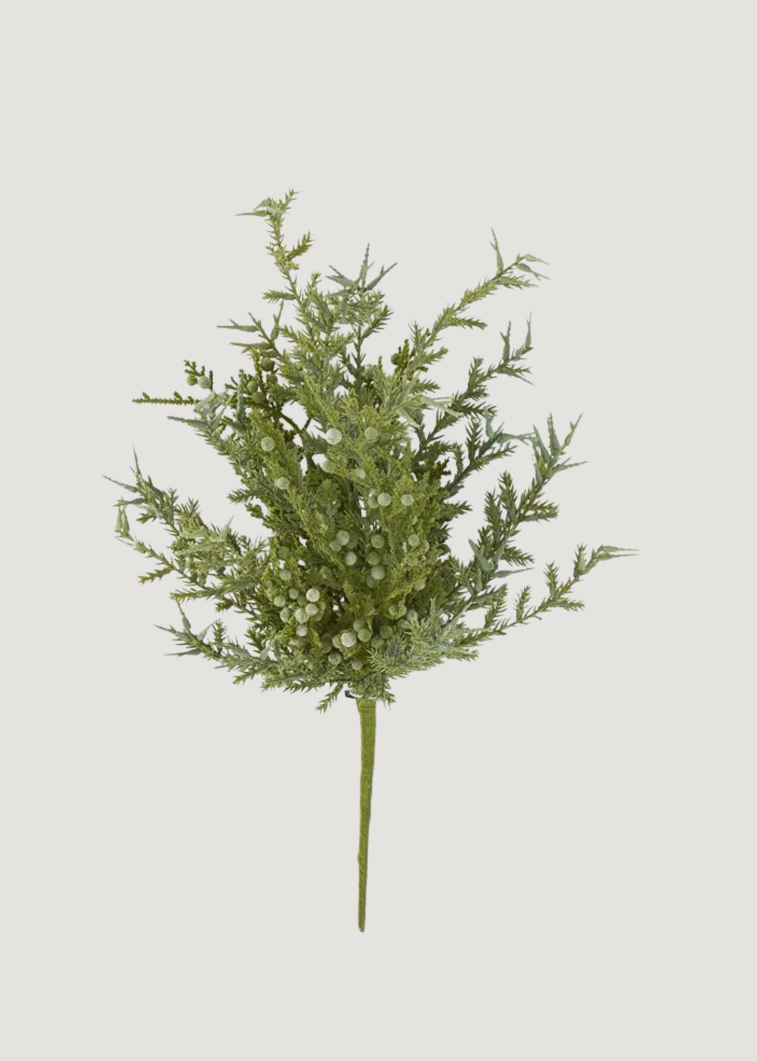 Small Juniper Spray