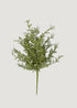 Small Juniper Spray