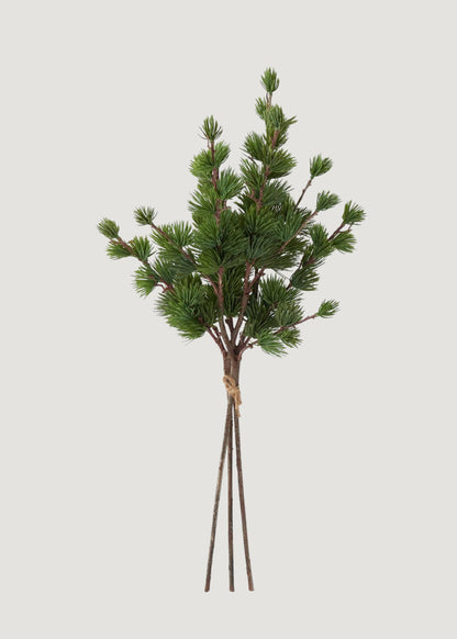 Real Touch Larch Pine