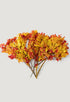 Preserved Fall Oak Leaves 