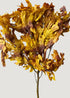 Preserved Fall Oak Leaves in Autumn Brown Hues 