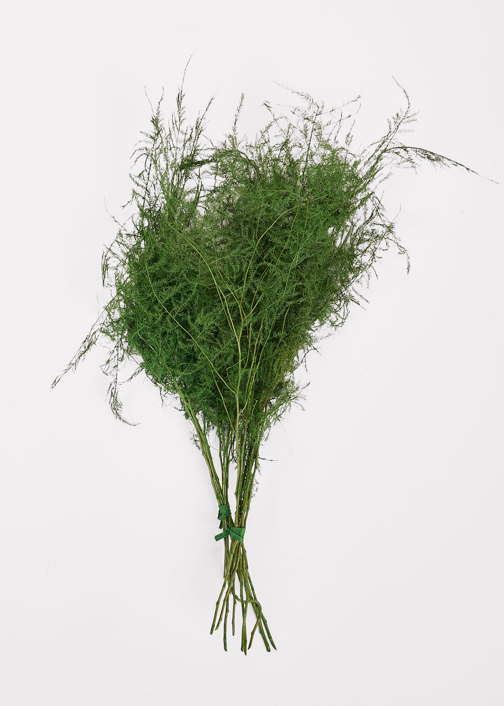 Dried Grasses and  Fern Bundle