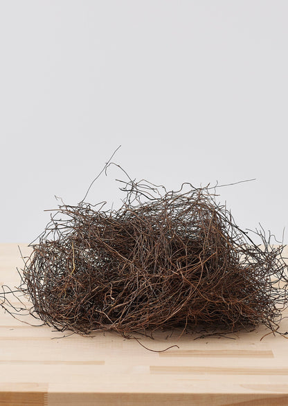 Afloral Dried Angel Vine for Foam Free Floral Designs