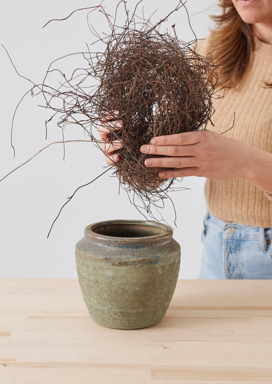 Natural Dried Angel Vine for FoamFree Floral Designs