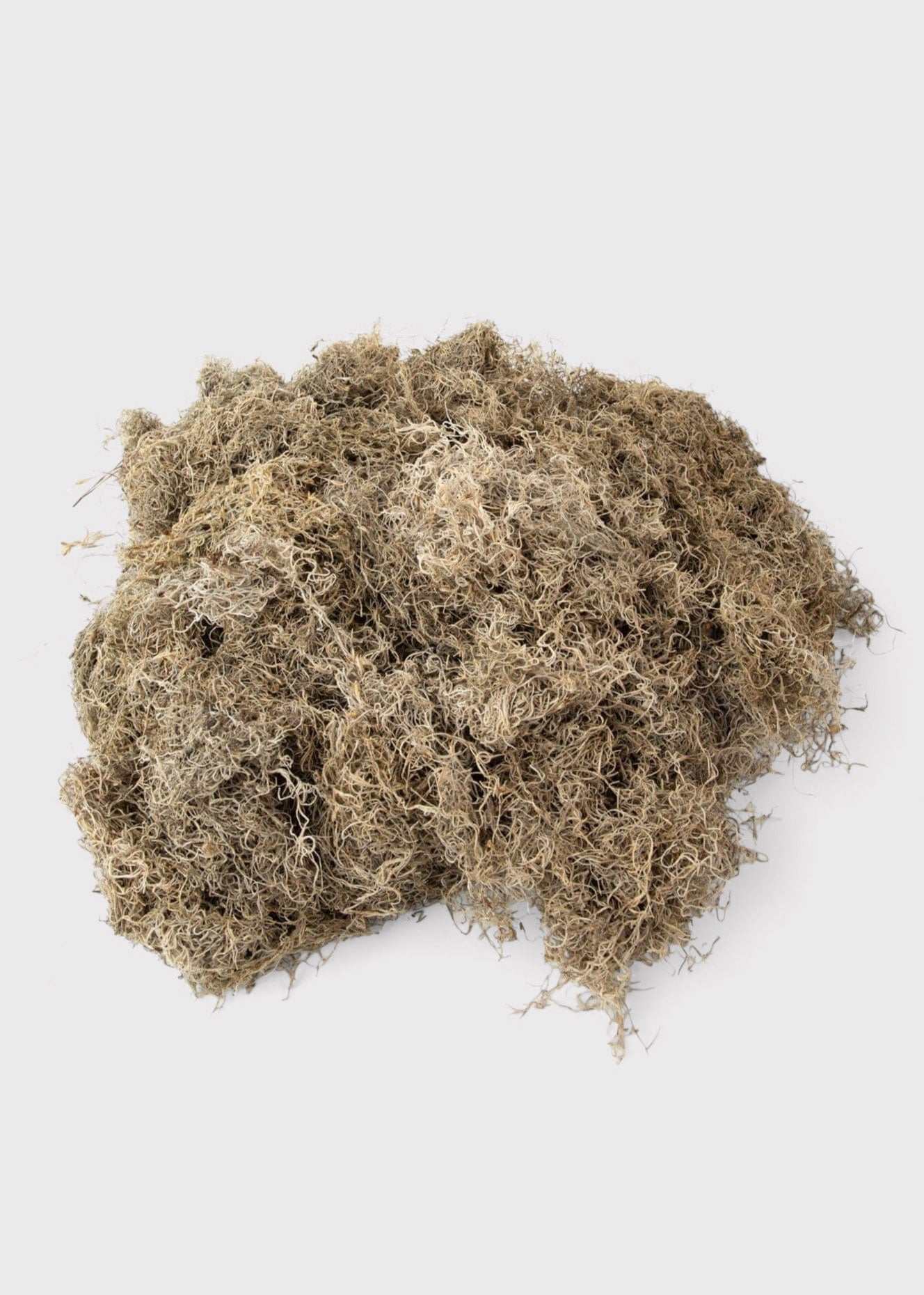 Natural Accessories Dried Spanish Moss at Afloral