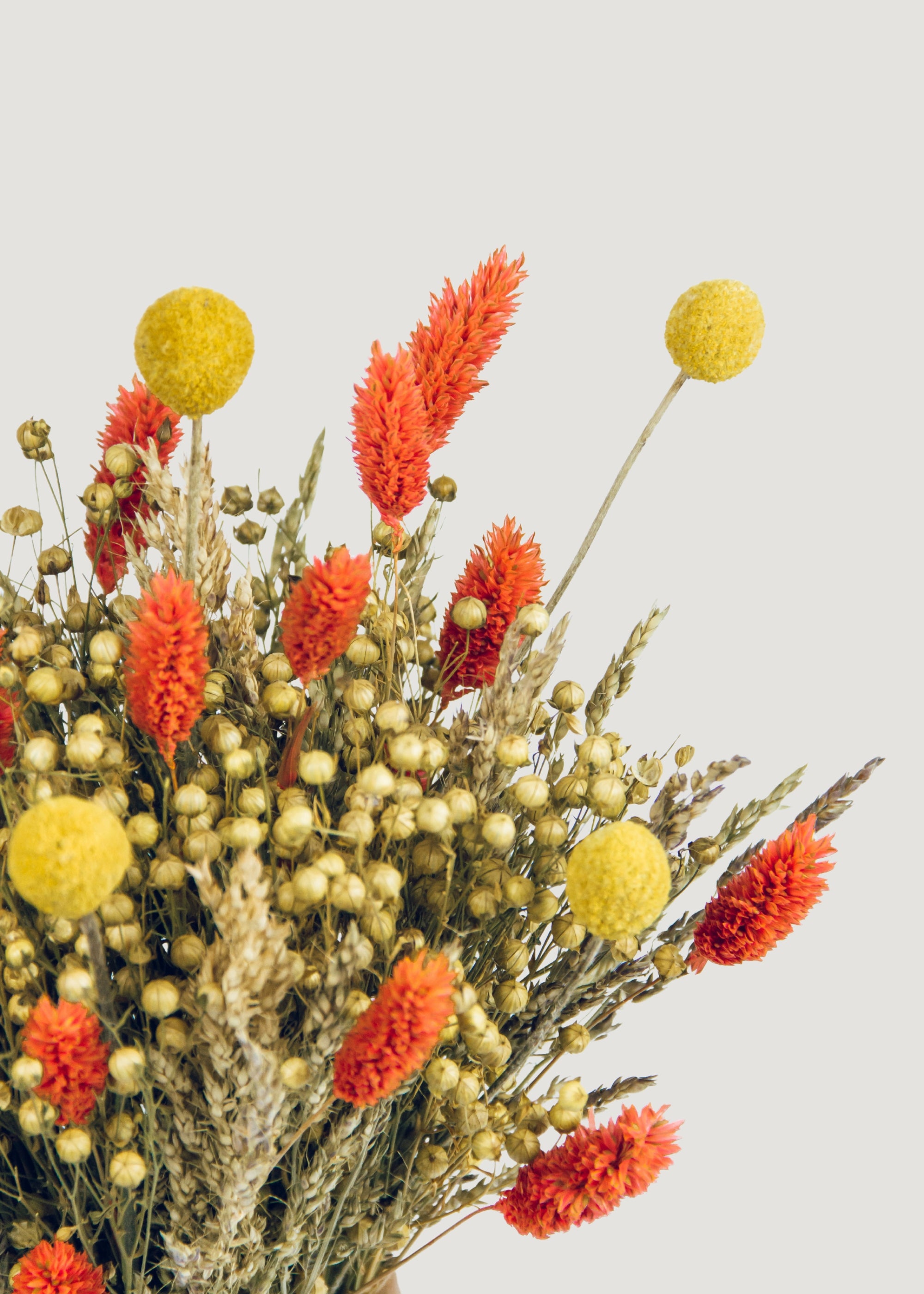 Dried Billy Buttons Mixed in Flower Bouquet