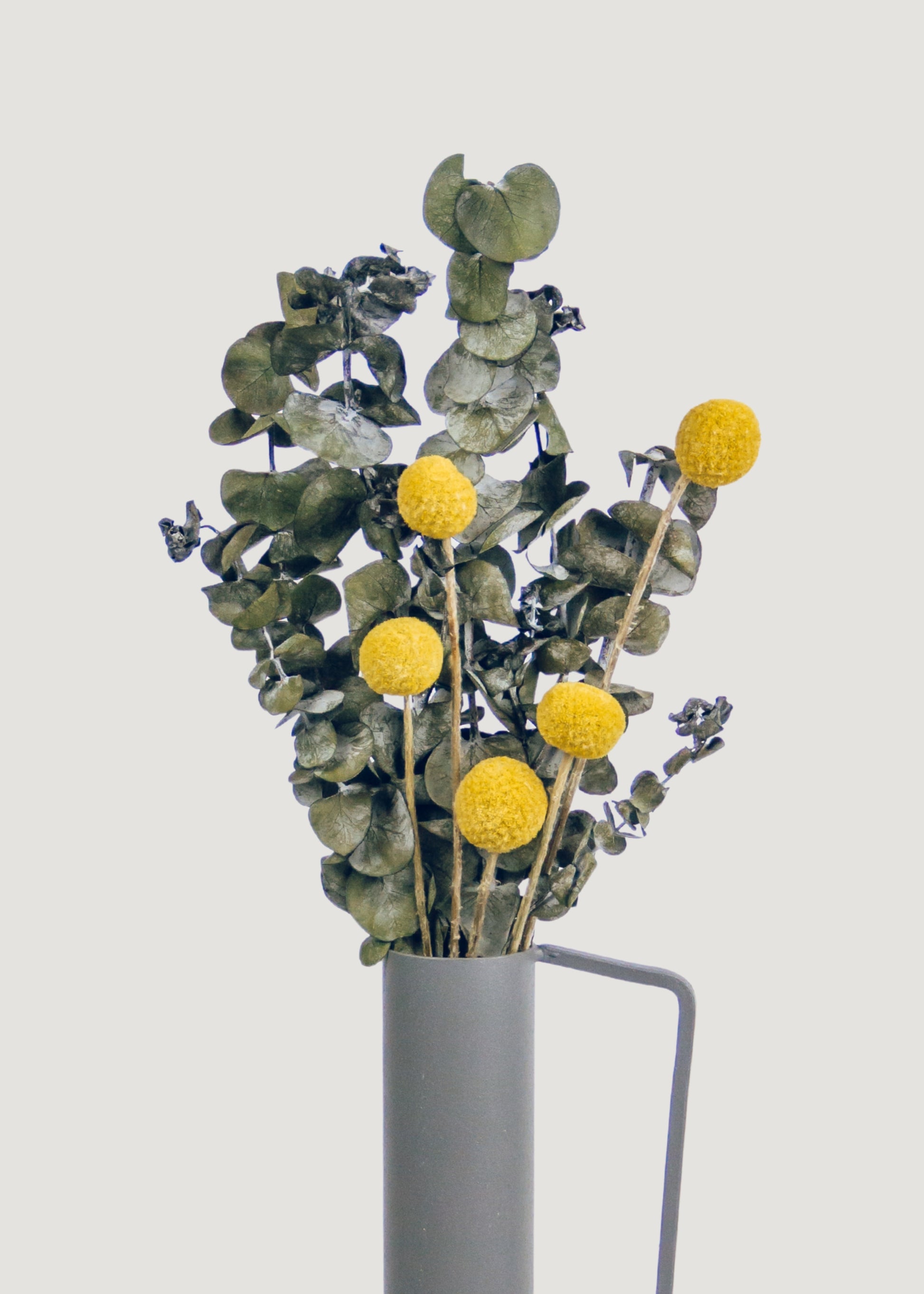 Dried Billy Buttons mixed with Preserved Eucalyptus
