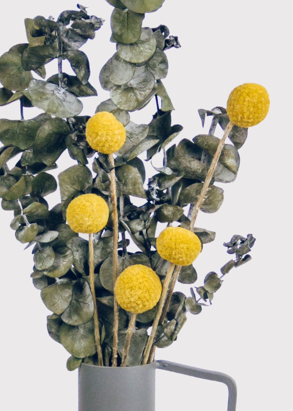 Dried Billy Buttons mixed with Preserved Eucalyptus