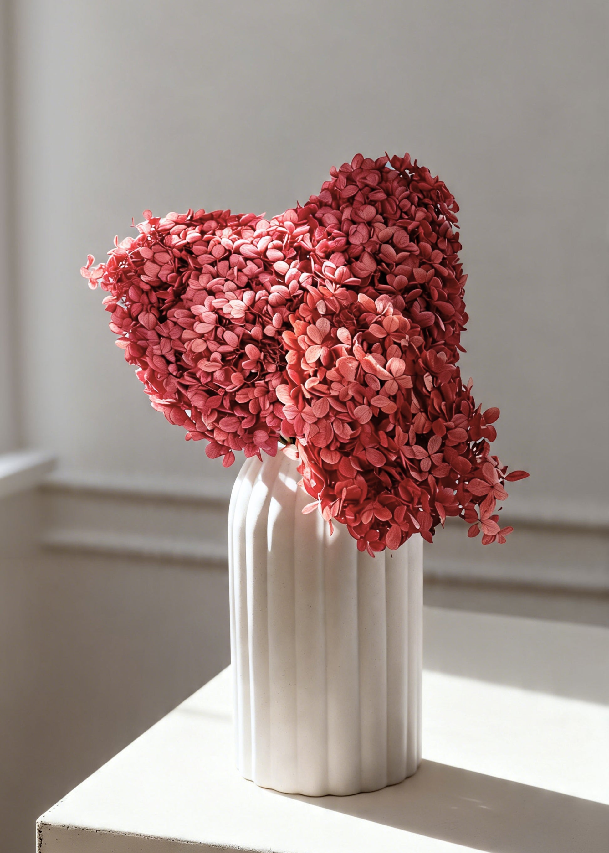  Red Preserved Hydrangea Stems