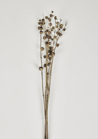 Afloral Dried Botanicals Callicarpa Berry Bundle