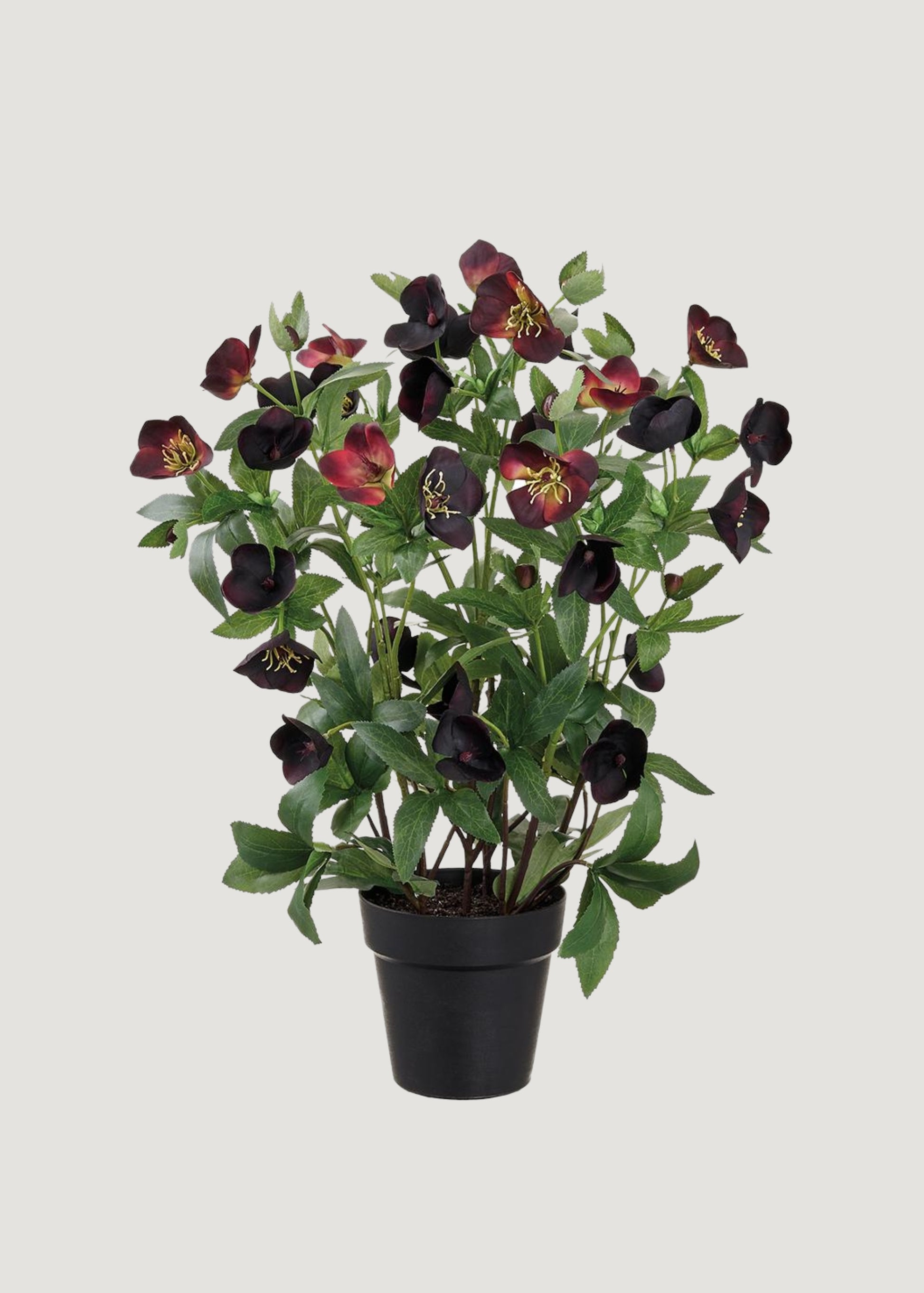 Plum Purple Helleborus Fake Flower Arrangement in Pot