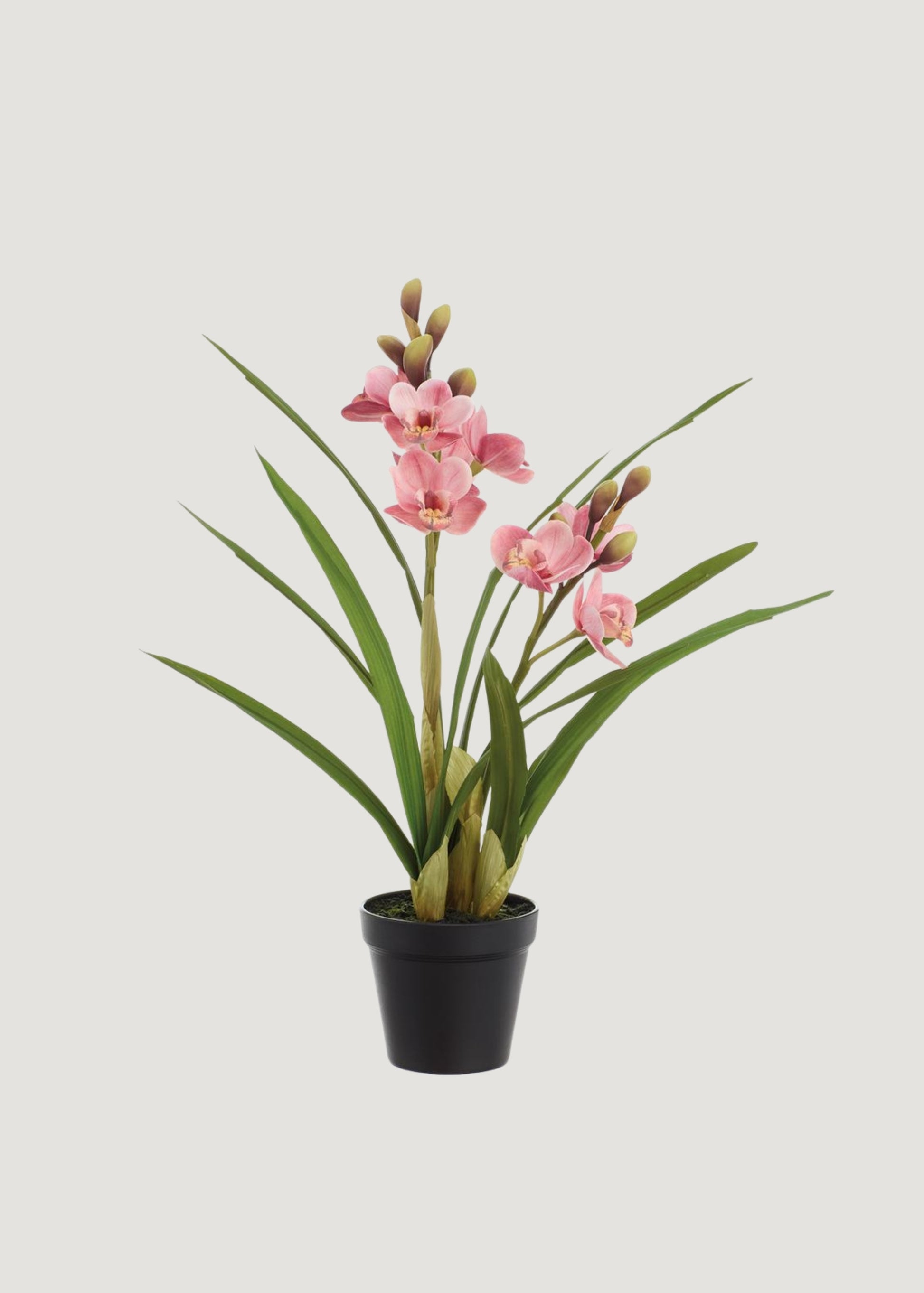 Pink Cymbidium Orchid Fake Potted Flower Arrangement 