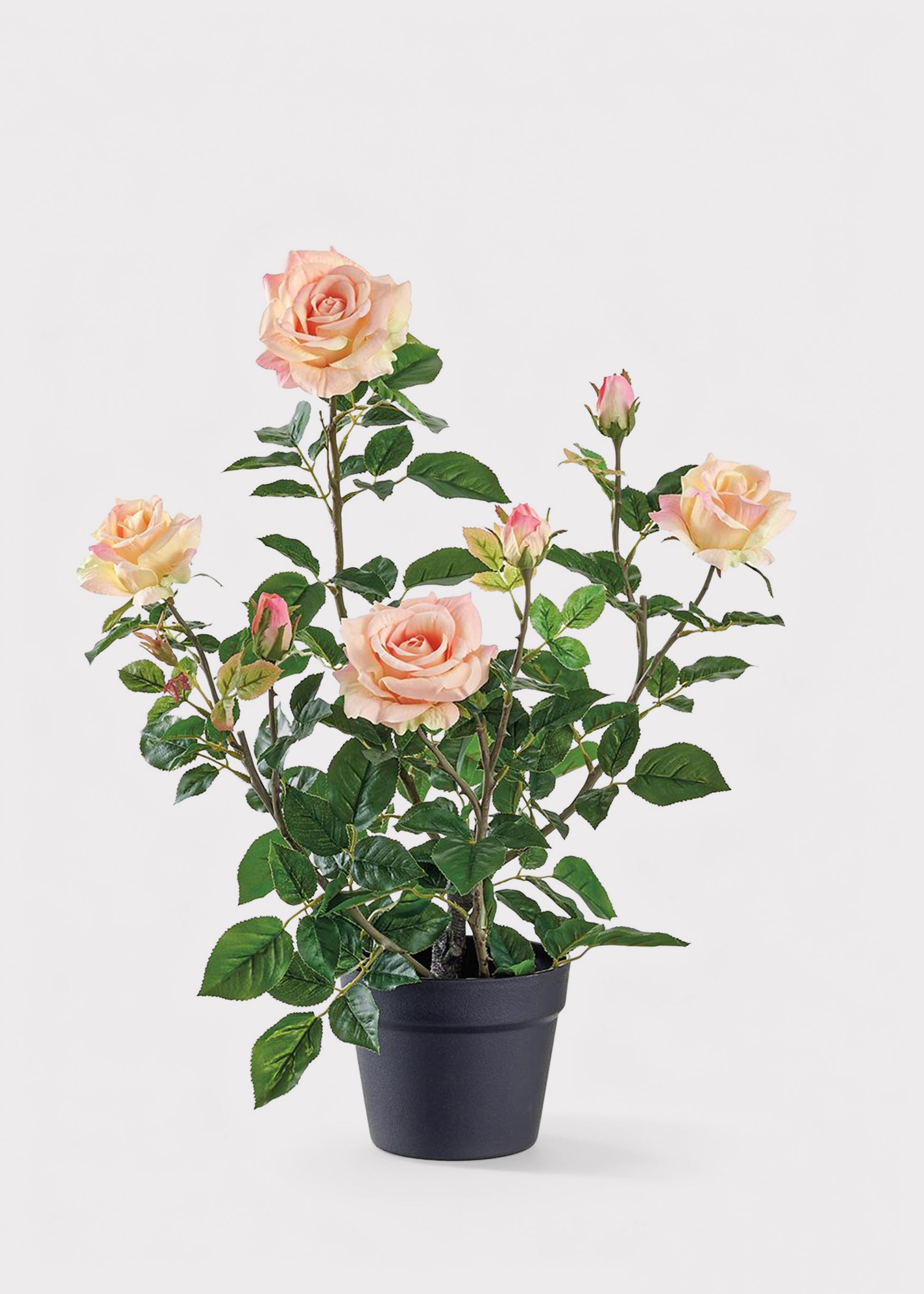 potted rose plant Fake Potted Porch Arrangement of Coral Pink Roses