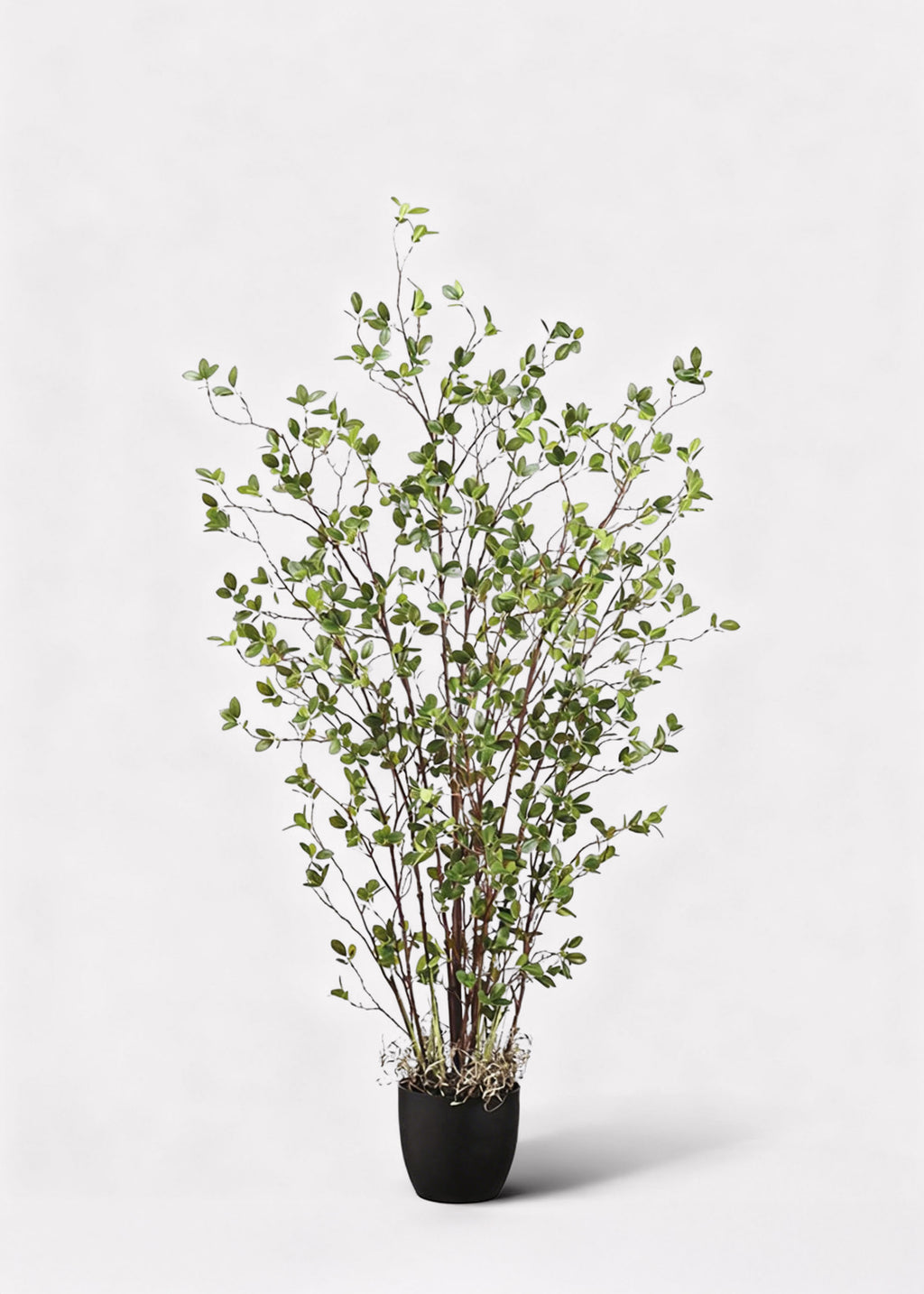 mini potted fake plants 60" Mini Leaf Plant in Pot