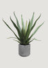 Fake Potted Agave Cactus Plant in Cement Pot