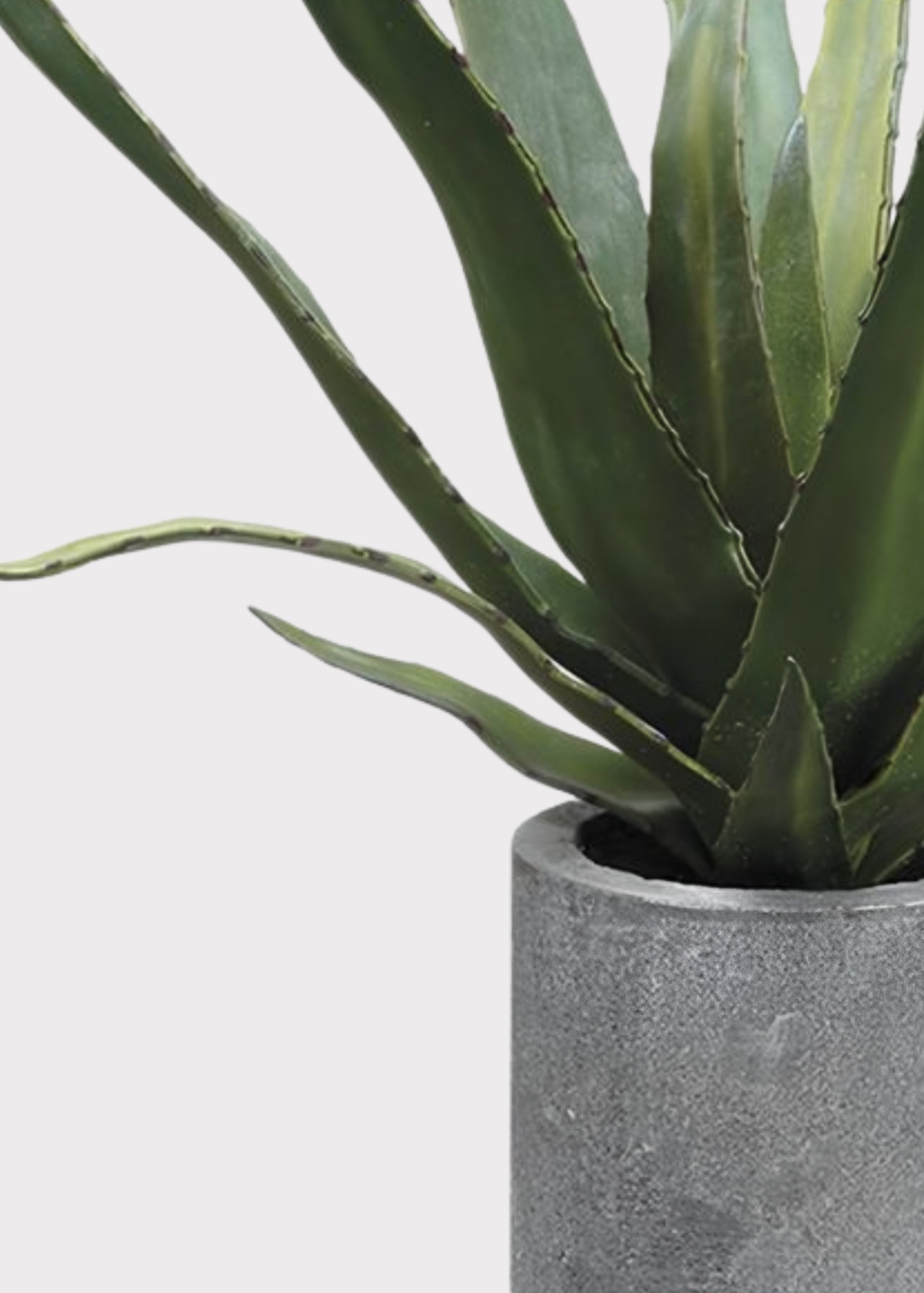 Close-up of Fake Potted Agave Cactus Plant in Cement Pot