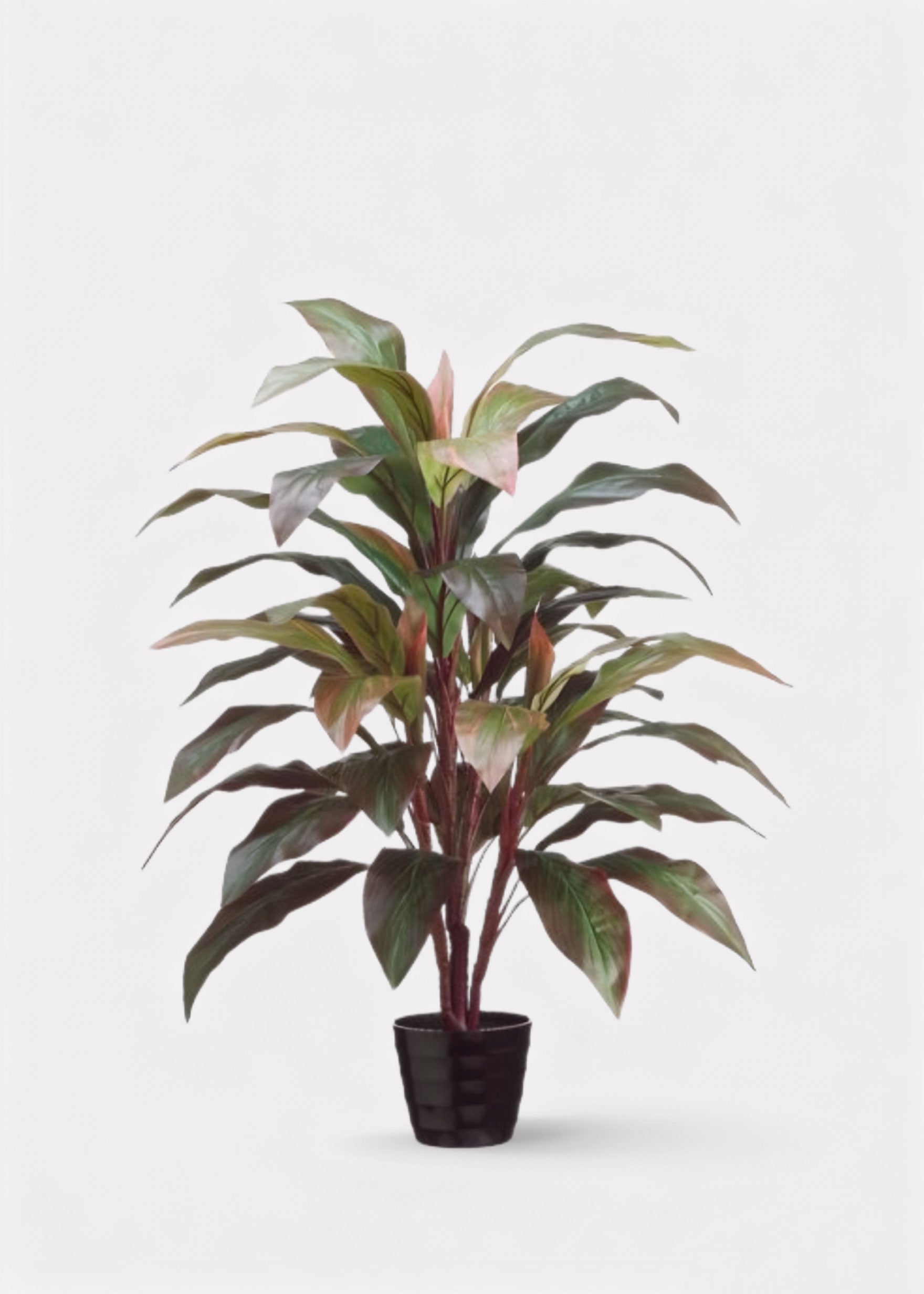 Fake Red Green Cordyline Palm Potted Floor Plant