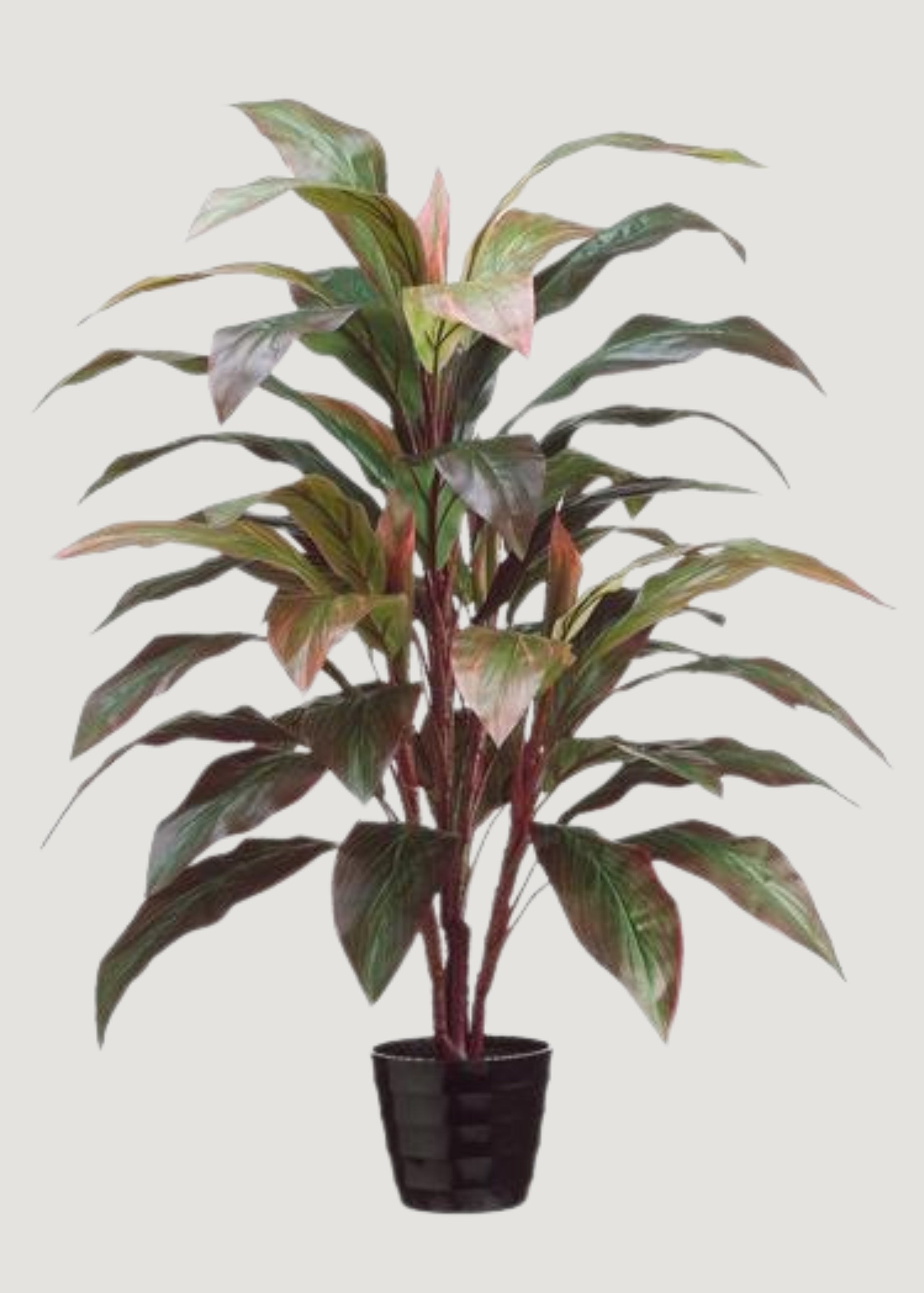 Fake Red Green Cordyline Palm Potted Floor Plant