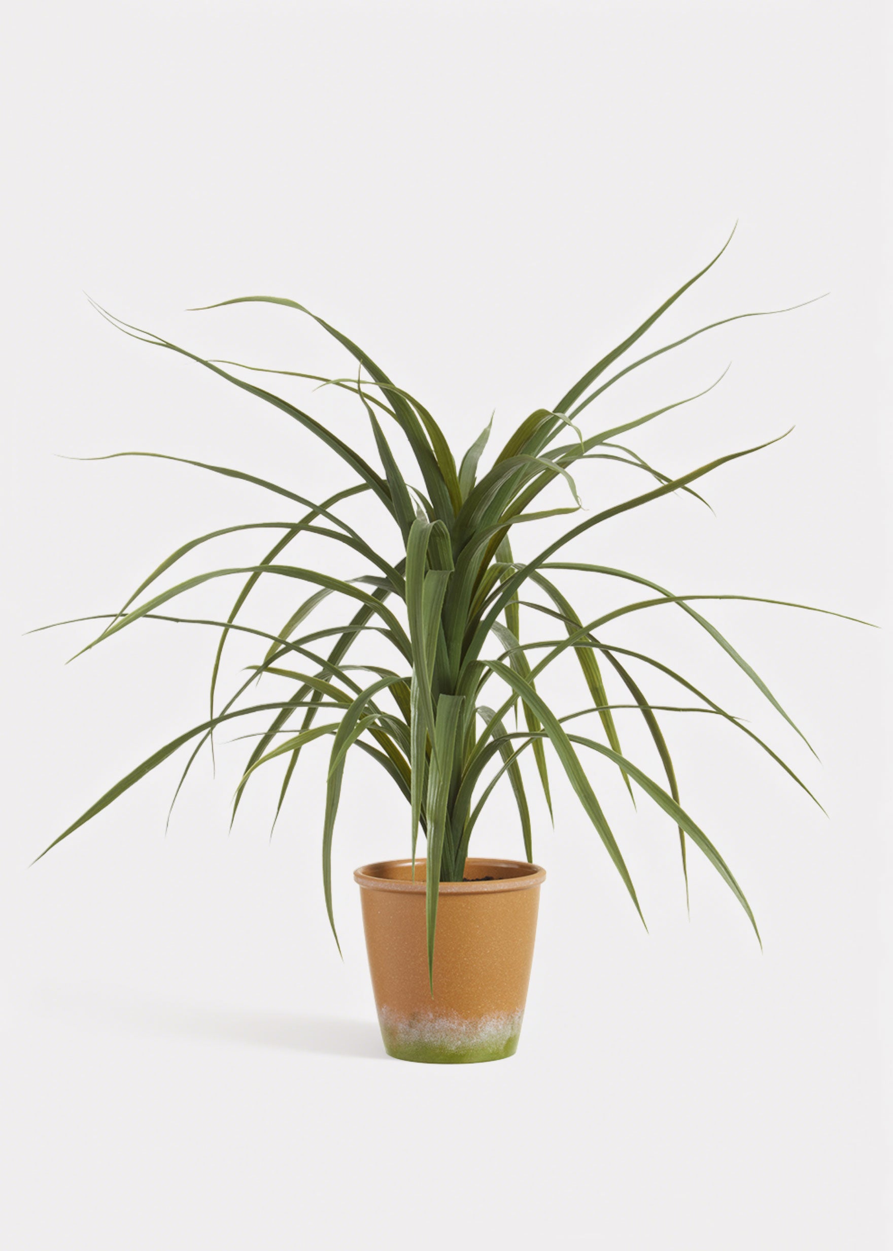 Artificial Dracaena Succulent Plant in Pot 