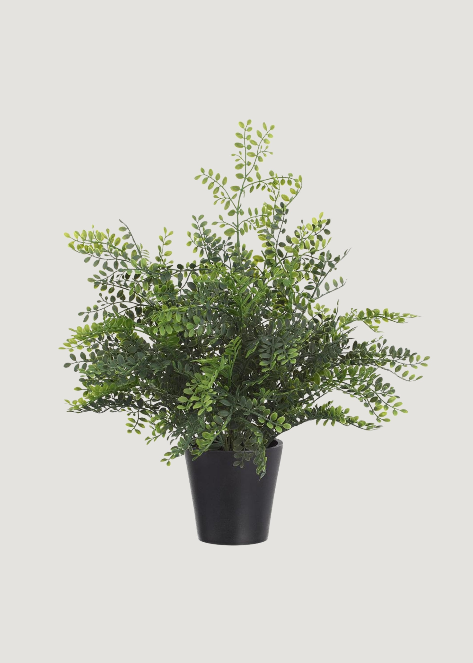 Artificial Maidenhair Fern Potted Plant 