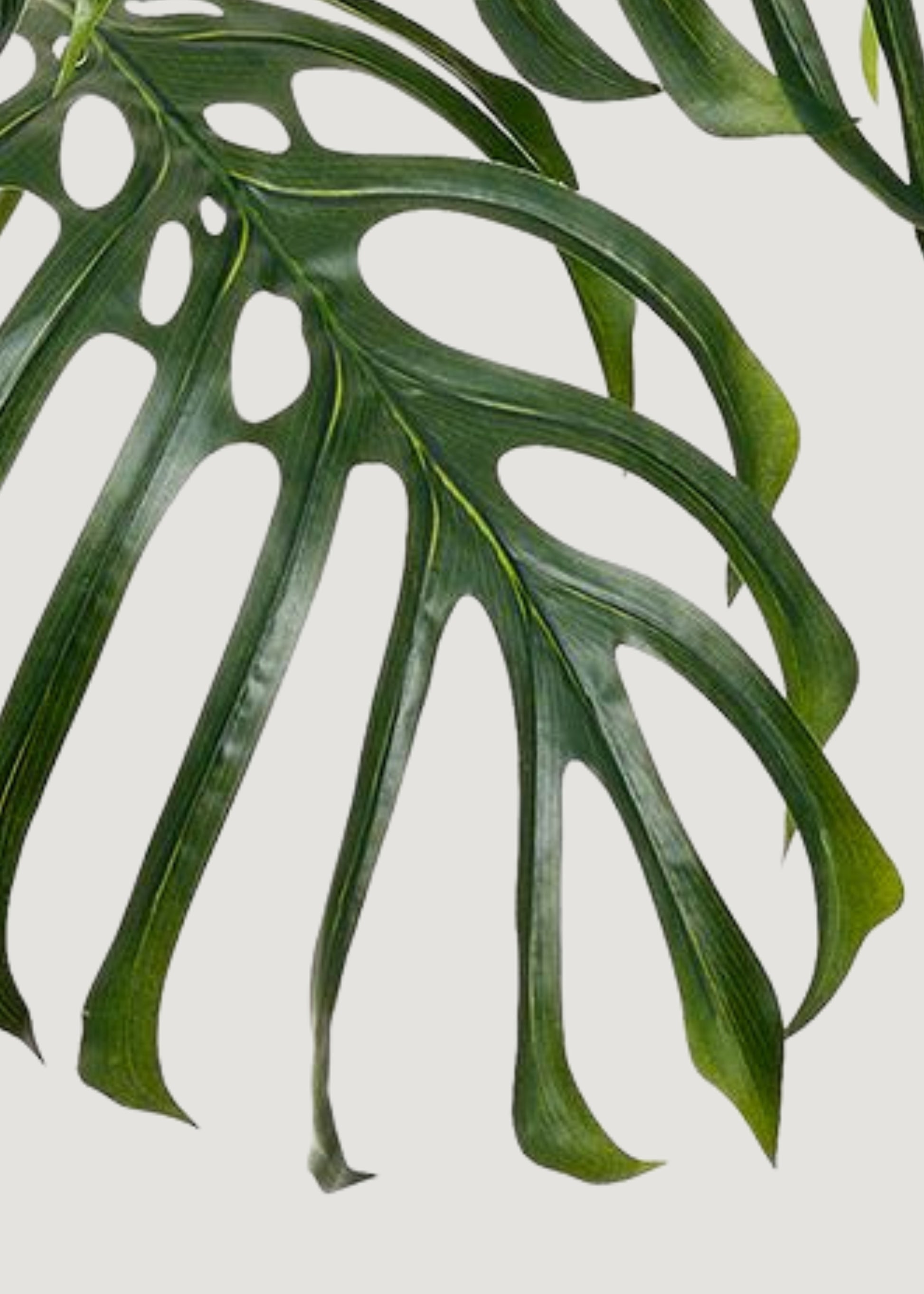 buy monstera leaves Large Fake Monstera Tropical Leaf Potted Plant