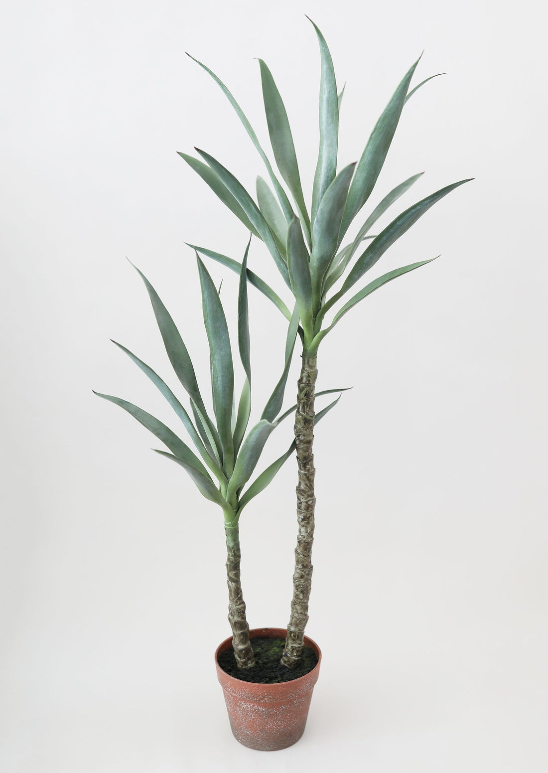 Realistic Artificial Potted Yucca Plants at Afloral